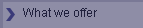 What we offer